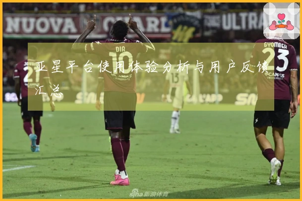 亚星平台使用体验分析与用户反馈汇总